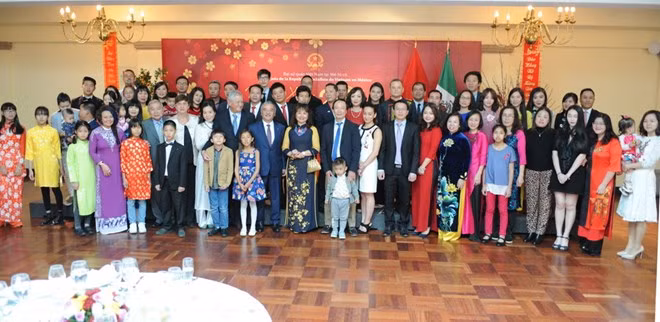 Celebran vietnamitas residentes en el extranjero actividades por Año Nuevo Lunar ảnh 1