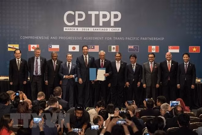 CPTPP entrará en vigor en Vietnam desde 14 próximo ảnh 1