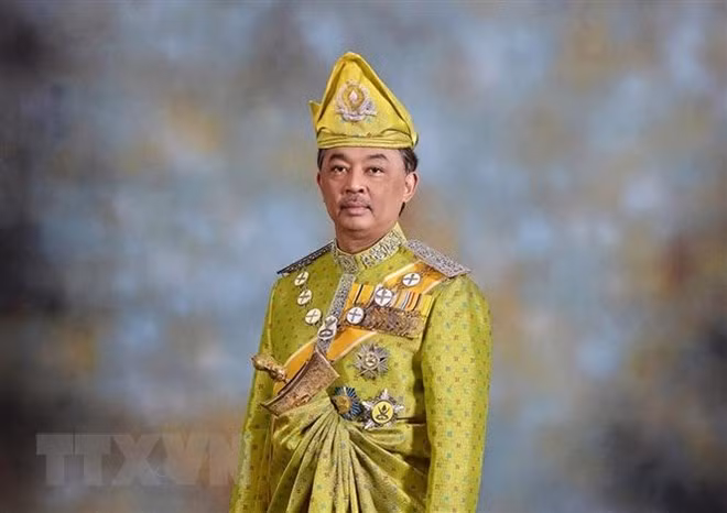 Proclaman al sultán de Pahang como nuevo rey de Malasia ảnh 1