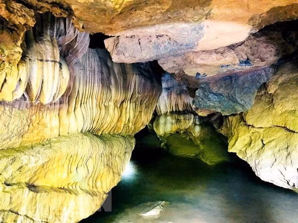 Más de 40 mil visitantes recibió provincia vietnamita de Quang Binh en Año Nuevo ảnh 1