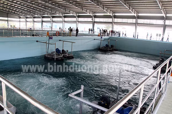 Banco Mundial continuará apoyando a proyectos ambientales en provincia vietnamita ảnh 1