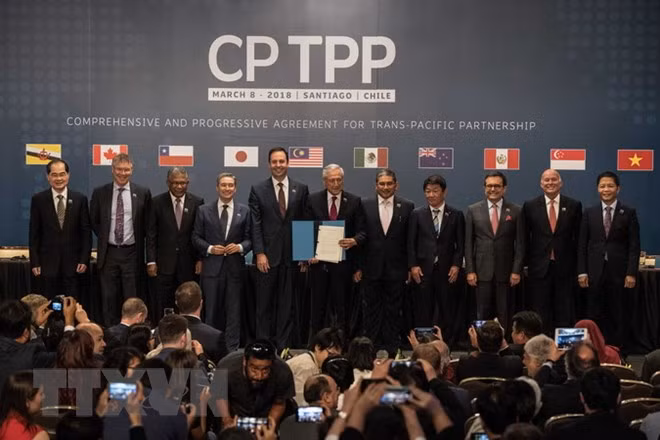 Empresas vietnamitas listas a aprovechar CPTPP ảnh 1