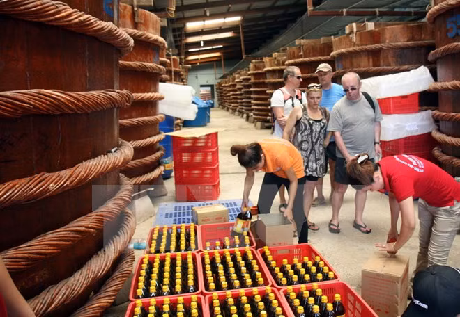 Vietnam: Cien por ciento de muestras de salsas de pescado son seguras ảnh 1