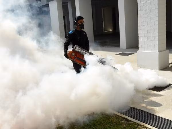 Myanmar confirma primer caso del virus del Zika ảnh 1