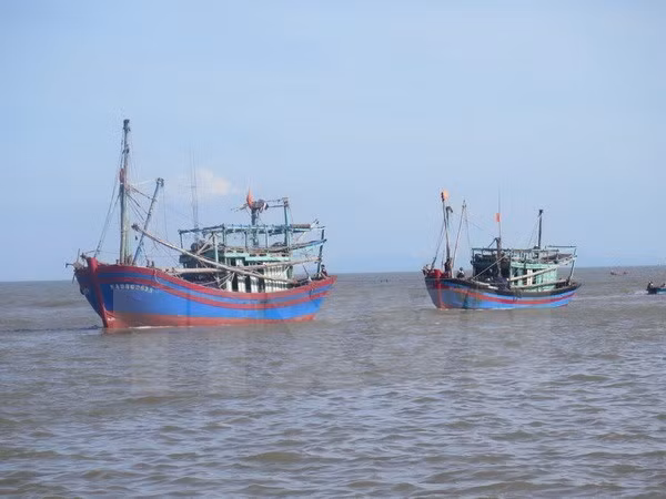 Tailandia detiene cinco pesqueros de Vietnam ảnh 1 Tailandia detiene cinco pesqueros de Vietnam ảnh 1