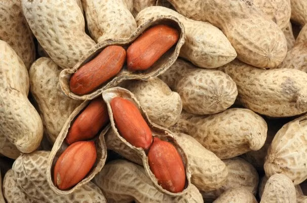 Vietnam suspende la importación de cacahuates de Sudán y Hong Kong ảnh 1