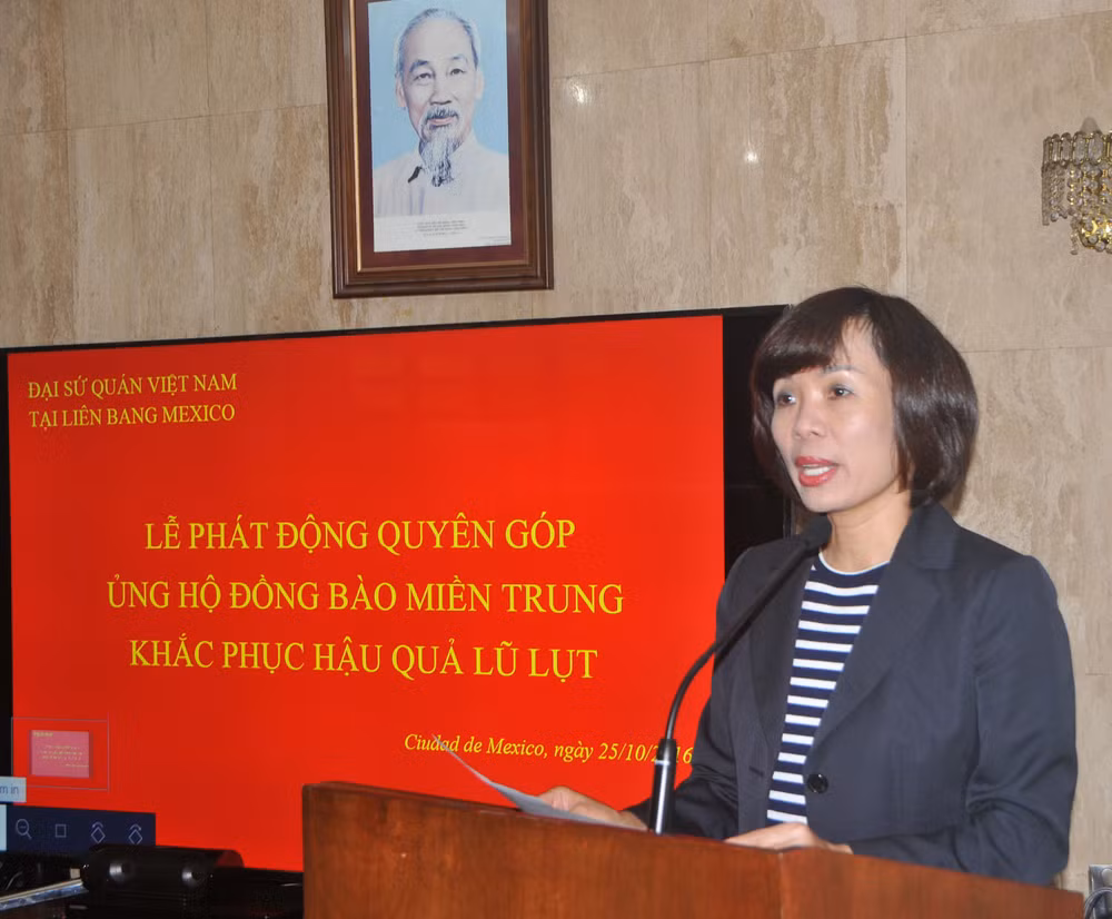 Vietnamitas en México recaudan fondos para coterráneos afectados por inundaciones ảnh 2