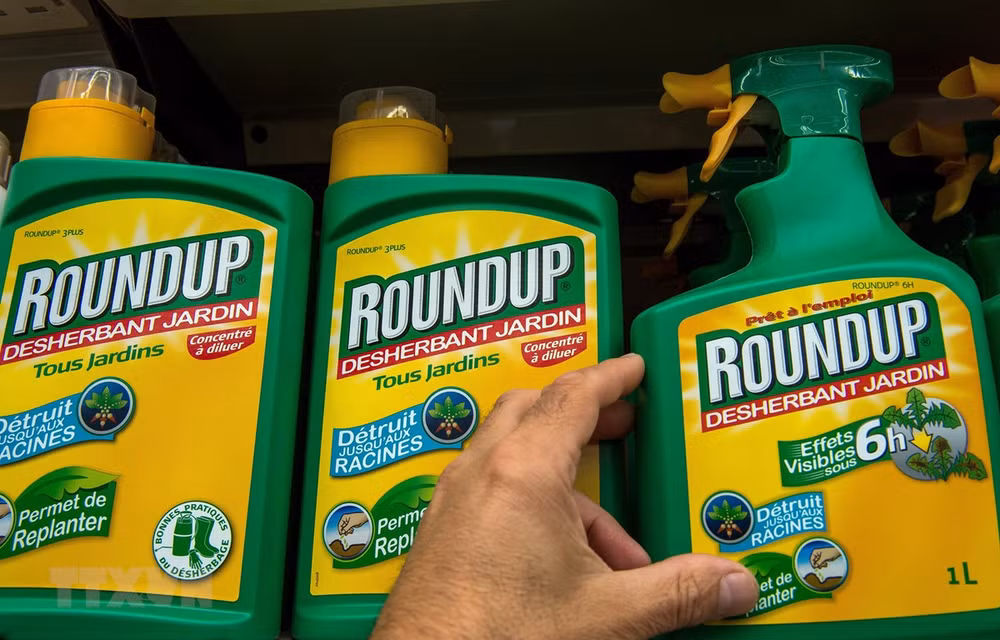 Corte de EE.UU. rechaza apelación de Monsanto contra el herbicida Roundup ảnh 1
