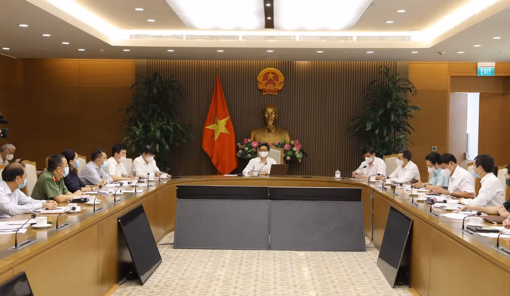 Vicepremier vietnamita exhorta a cumplir seriamente protocolo sanitario contra el COVID-19 ảnh 1