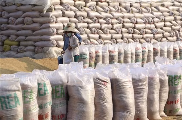 Vietnam conservará segundo puesto como exportador mundial de arroz ảnh 1