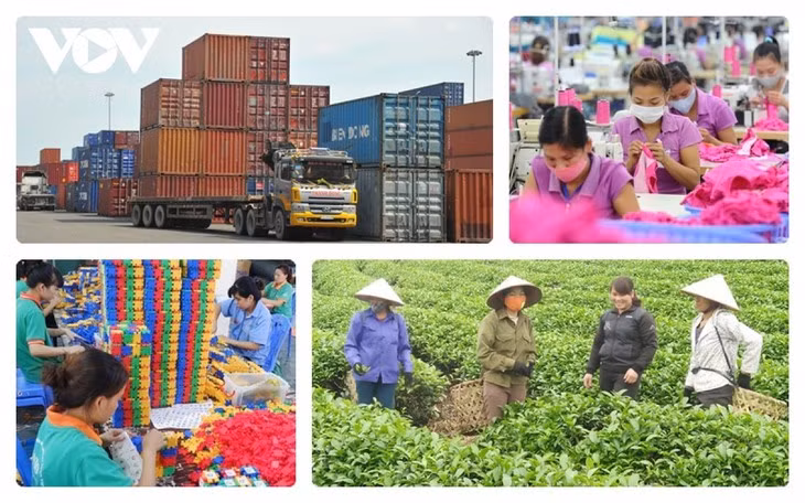 Clima de inversión en Vietnam mejora de forma constante ảnh 1