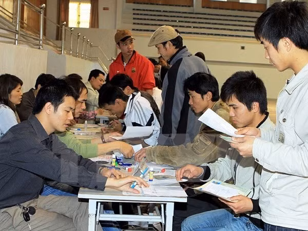 Vietnam busca medidas para disminuir número de empleados ilegales en Sudcorea ảnh 1