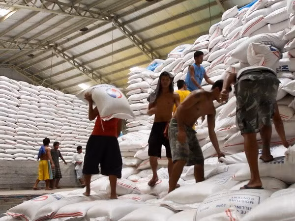 Exportación de arroz vietnamita muestra señales positivas a principios de año ảnh 1 Exportación de arroz vietnamita muestra señales positivas a principios de año ảnh 1