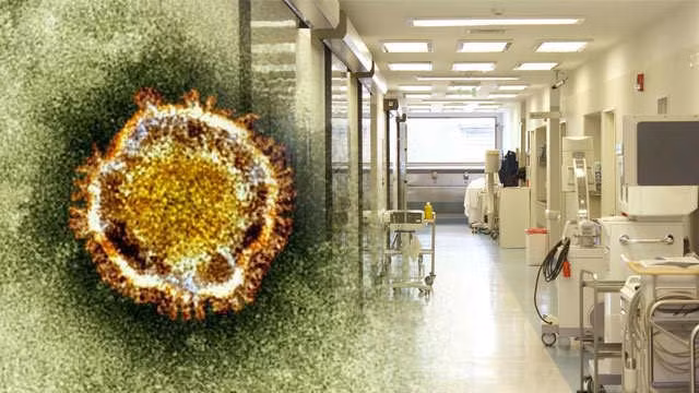 Tailandia confirma segundo caso de coronavirus ảnh 1