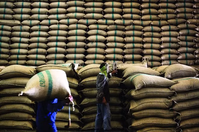 Tailandia pierde posición número uno como exportador mundial de arroz ảnh 1