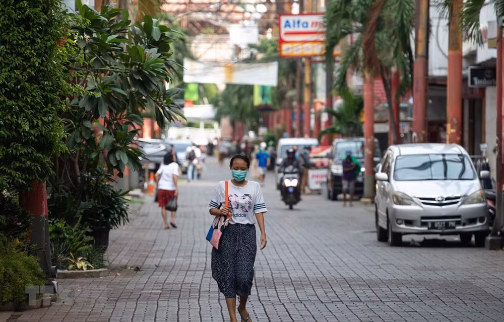 Indonesia y Singapur lideran movilización de capital de riesgo en el Sudeste Asiático ảnh 1
