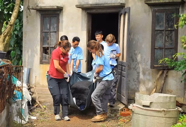 Impulsan en Vietnam lucha contra comercio ilegal de animales silvestres por internet ảnh 1