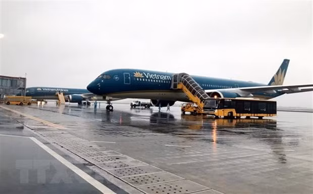 Repatrian a casi 300 vietnamitas varados en Canadá ảnh 1