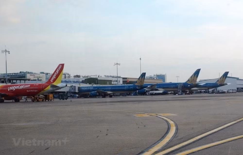 Propone sector de aviación de Vietnam incrementar vuelos domésticos ảnh 1