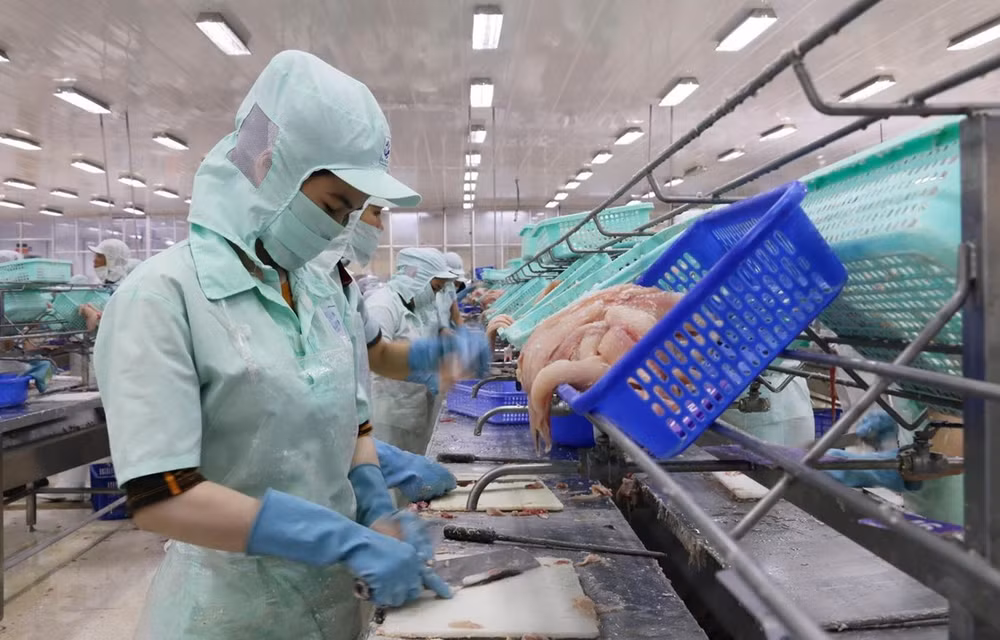 Distinguirá Vietnam a exportadores prestigiosos de 2019 ảnh 1 Distinguirá Vietnam a exportadores prestigiosos de 2019 ảnh 1