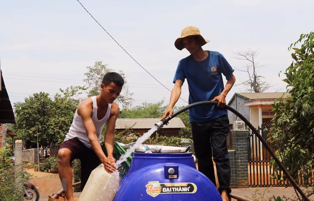 Provincia vietnamita de Long An enfrenta grave escasez de agua ảnh 1