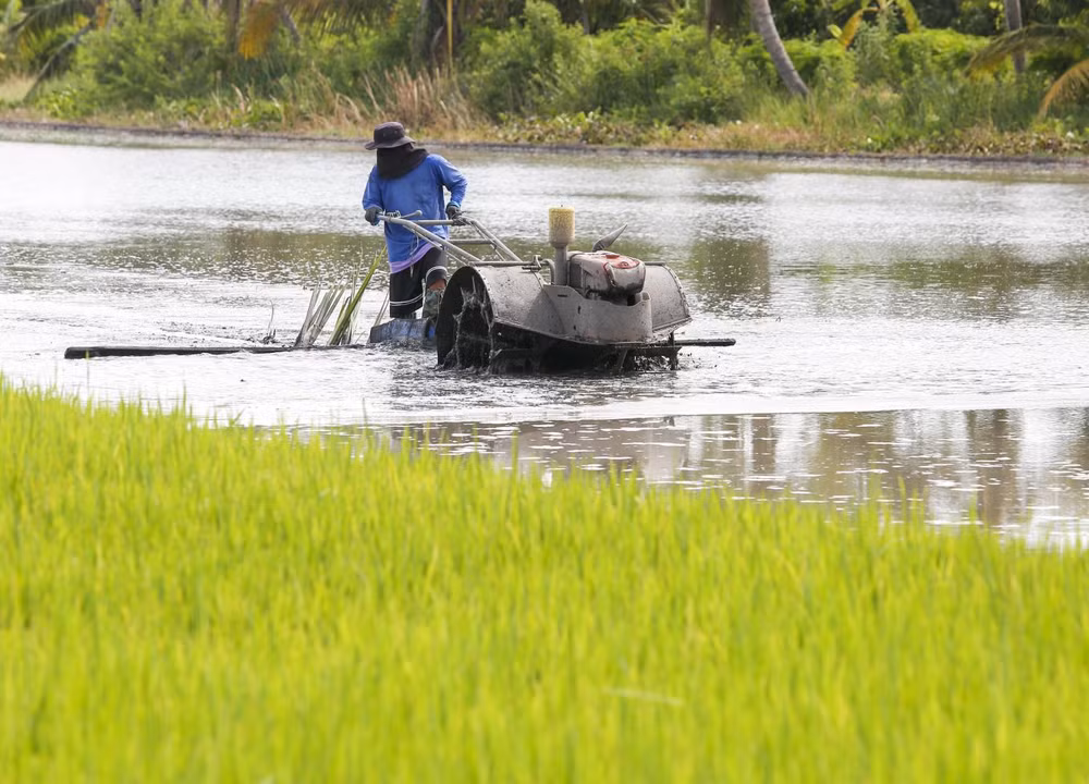 Tailandia determina tres motores clave para la recuperación económica ảnh 1