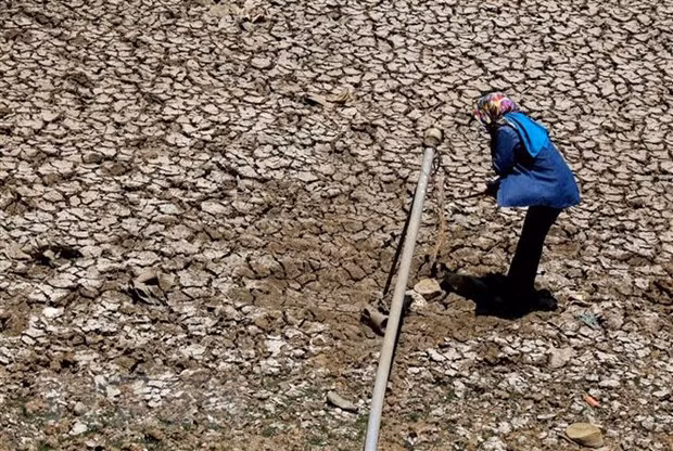 Vietnam enfrenta clima cálido severo ảnh 1