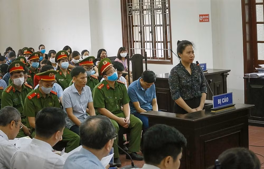 Comienza en Vietnam juicio de primera instancia sobre escándalo de fraude académico ảnh 1