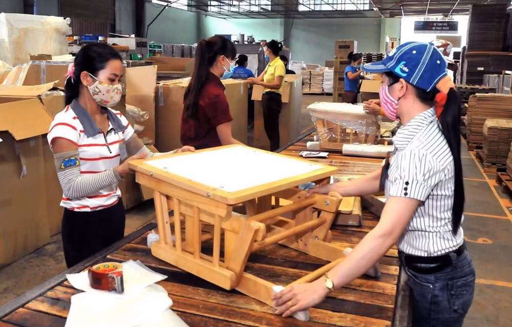 Vietnam reporta alza en establecimiento de nuevas empresas ảnh 1 Vietnam reporta alza en establecimiento de nuevas empresas ảnh 1