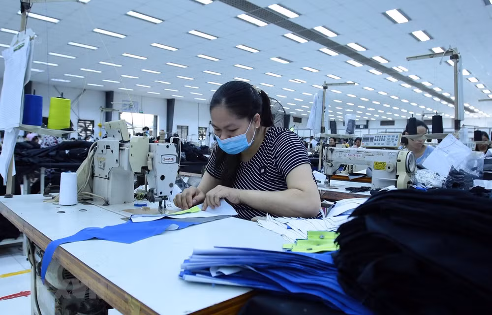 Empresas vietnamitas se enfocan en explotar mercado doméstico ảnh 1 Empresas vietnamitas se enfocan en explotar mercado doméstico ảnh 1