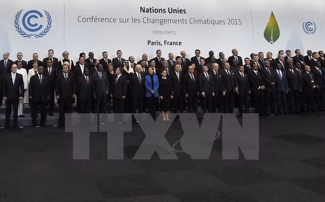 Vietnam acelera elaboración de plan de acción para implementar Acuerdo de COP 21 ảnh 1