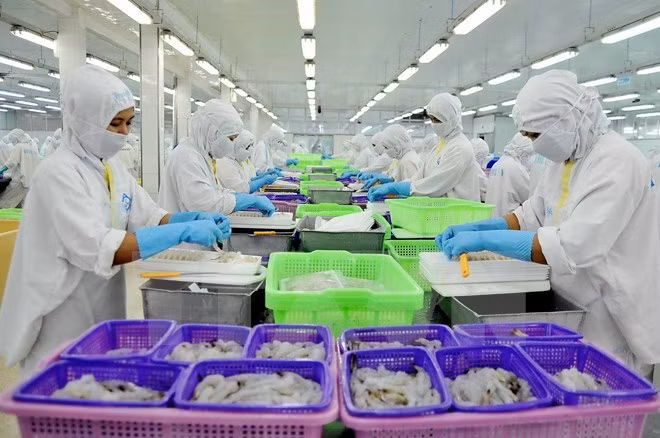 Activo Vietnam en la integración económica internacional ảnh 1