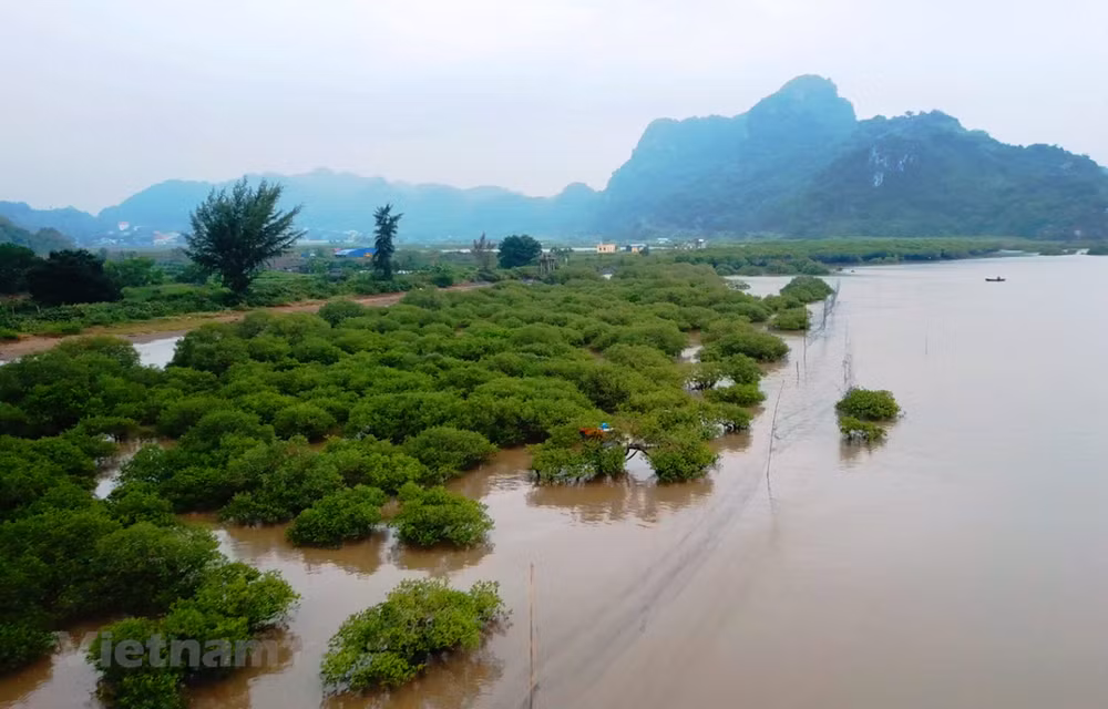 Transición ecológica por desarrollo sostenible en Vietnam precisa hoja de ruta ảnh 1
