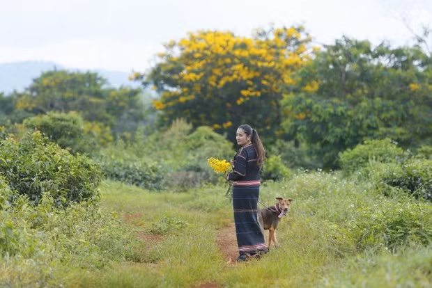 Destinos favoritos de turistas vietnamitas en 2022 ảnh 3