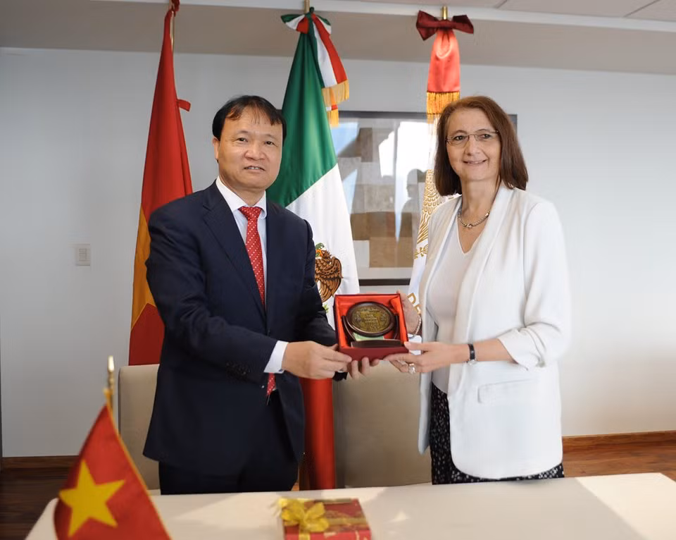 [Foto] Promueven Vietnam y México cooperación económica ảnh 4