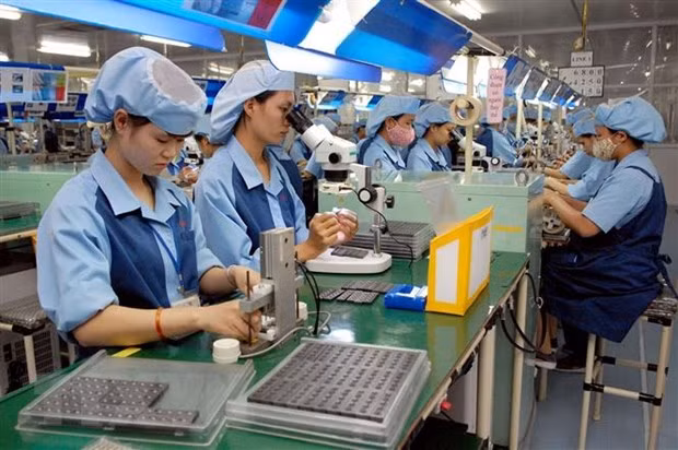 Proyectan empresas vietnamitas aumentar sus ventas ảnh 1 Proyectan empresas vietnamitas aumentar sus ventas ảnh 1