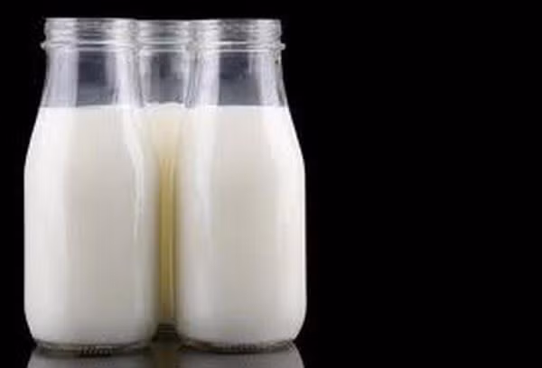 Exportan primer lote de leche de Vietnam al mercado chino ảnh 3 Exportan primer lote de leche de Vietnam al mercado chino ảnh 3