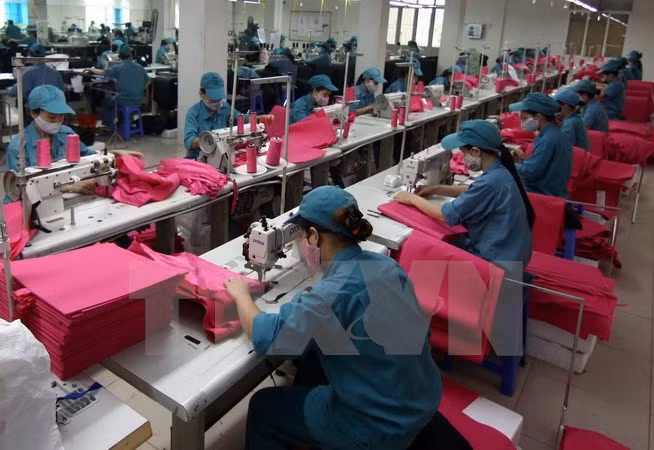 Asistencia europea para Vietnam en la gobernanza económica ảnh 1