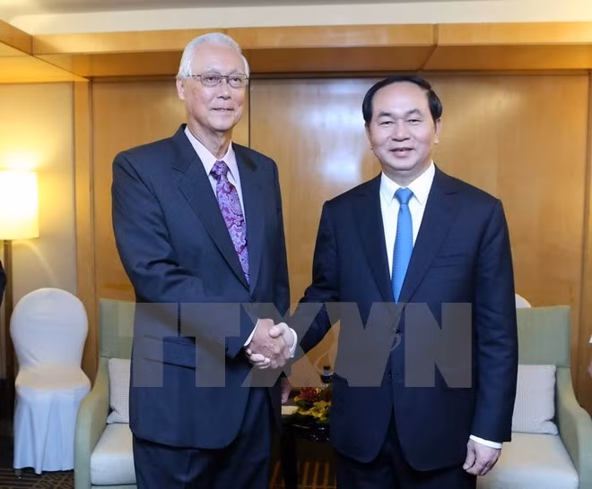 Presidente de Vietnam concluye visita estatal a Singapur ảnh 1