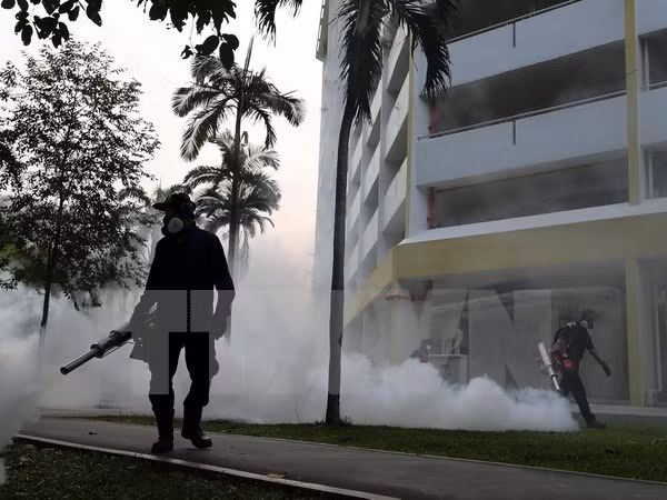 Singapur lanza campaña de eliminación de mosquitos para prevenir Zika ảnh 1