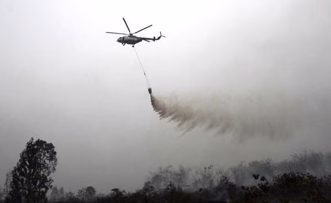 Indonesia: Humo de incendios forestales afecta actividades aéreas ảnh 1 Indonesia: Humo de incendios forestales afecta actividades aéreas ảnh 1