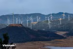 Vietnam avanza hacia la implementación de su mercado de carbono