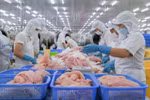 Vietnam, segundo mayor proveedor de productos acuícolas de Brasil