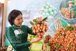 La comuna de Phuc Hoa (provincia de Bac Ninh) busca divulgar y presentar productos agrícolas locales. (Foto: VNA)