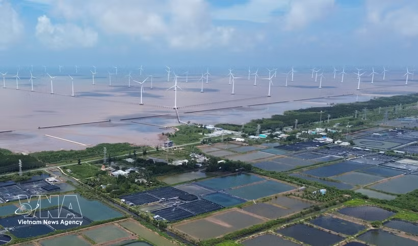 Proyecto de energía eólica marina en la comuna de Dong Hai, provincia de Ca Mau. (Foto: VNA)