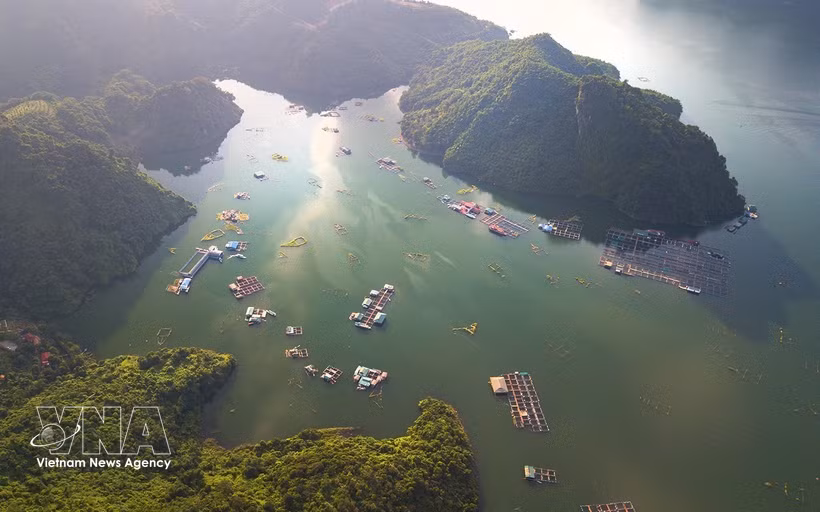 Con sus aguas cristalinas y su majestuoso paisaje, el embalse hidroeléctrico de Hoa Binh (provincia de Phu Tho) se ha convertido en un destino imperdible para los turistas. (Foto: VNA)