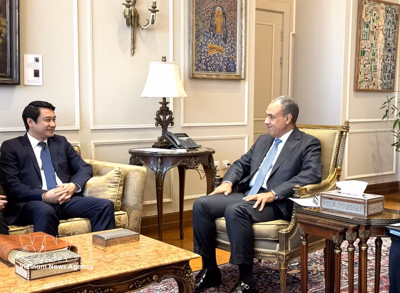 El ministro de Asuntos Exteriores de Egipto, Badr Abdelatty, recibe al viceministro de Relaciones Exteriores de Vietnam, Le Anh Tuan. (Foto: VNA)