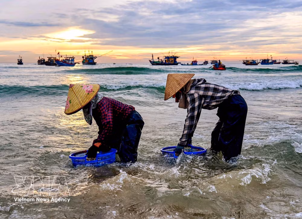 vnanet_khong-chi-la-noi-giao-thuong-hai-san-cho-ca-tam-tien-con-phan-anh-sinh-dong-doi-song-cua-cong-dong-cu-dan-mien-bien.jpg