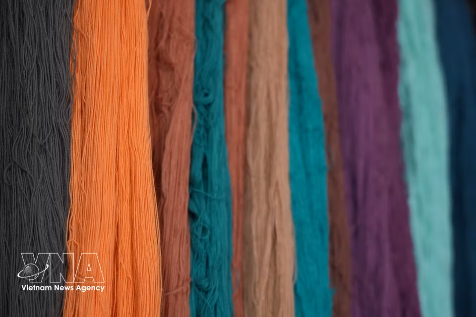 Entre las principales materias primas utilizadas en el tejido tradicional de brocado figuran el algodón, el lino, el cáñamo y la seda, así como tintes naturales obtenidos de hojas, cortezas y raíces, como la cúrcuma, la corteza del árbol sui y el fruto de la planta chum bau. Foto: VNA