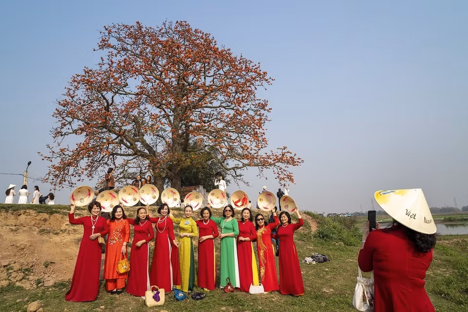 El árbol en el templo de Ba Co (en la aldea de Tan My, en la comuna de Lang Son, ciudad de Bac Giang) atrae a un gran número de personas a visitarlo y tomar fotografías en marzo. (Foto: VNA)